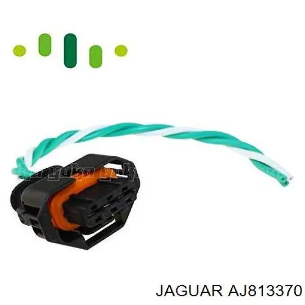 AJ813370 Jaguar Rozdzielacz paliwa
