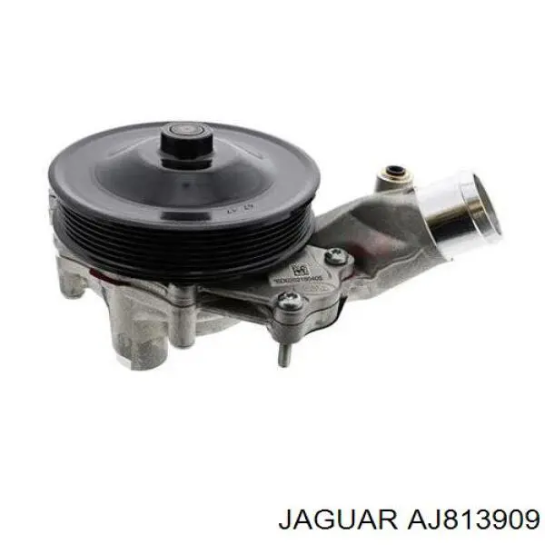 AJ813909 Jaguar Pompa chłodząca wodna