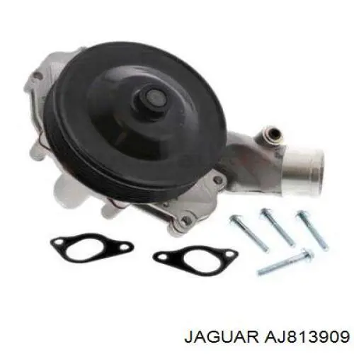 Pompa chłodząca wodna Jaguar AJ813909 cena, od 86,96 USD