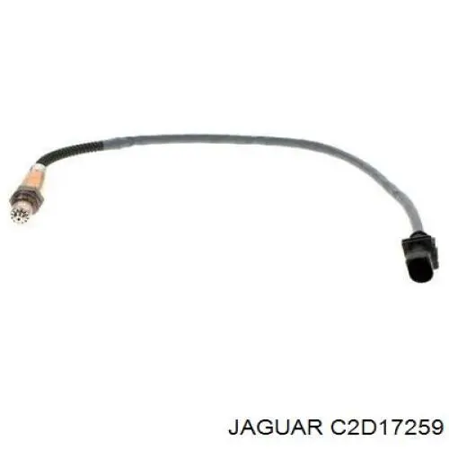 Sonda lambda czujnik tlenu przed katalizatorem Jaguar C2D24756 cena, od 109,80 USD