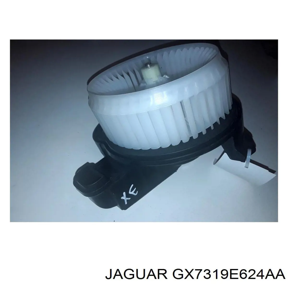 GX7319E624AA Jaguar 