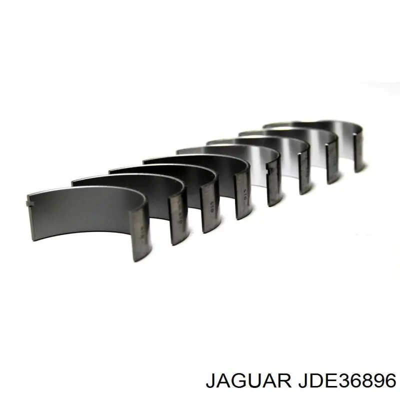 Do koszyka JDE36896 Jaguar 