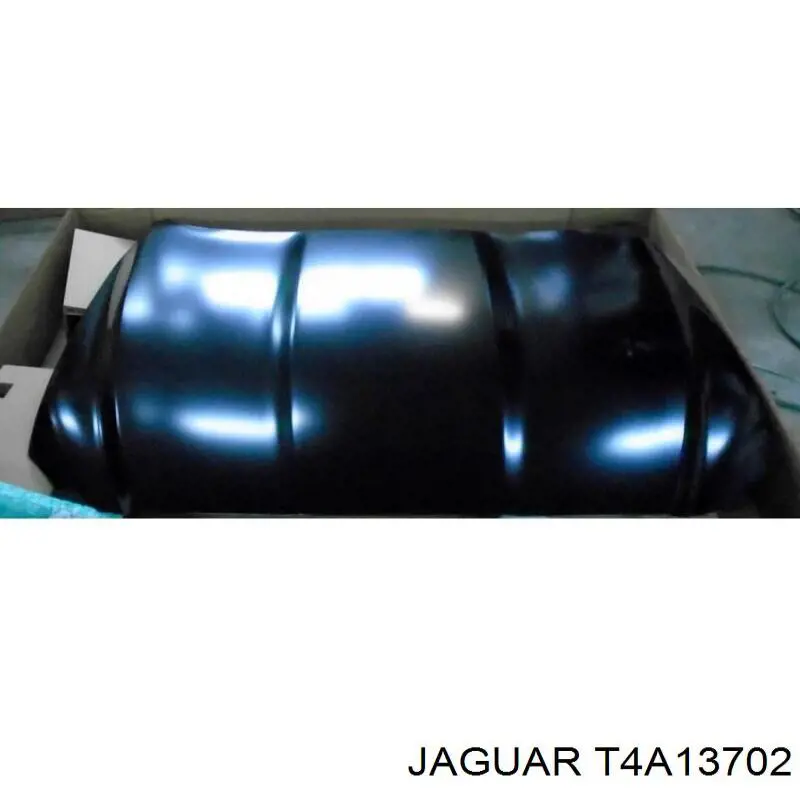 T4A1367 Jaguar Maska silnika