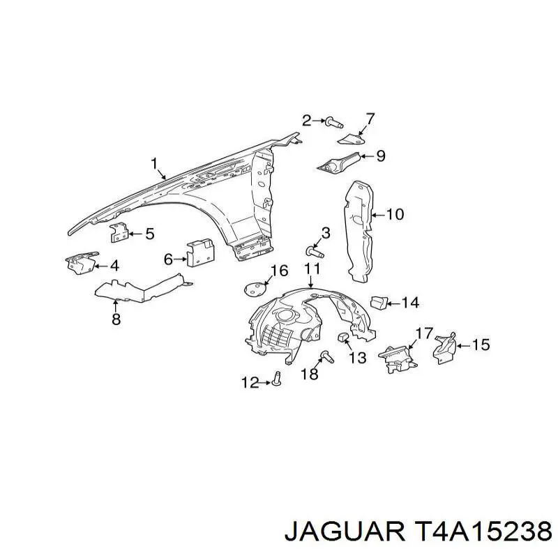 T4A15238 Jaguar 