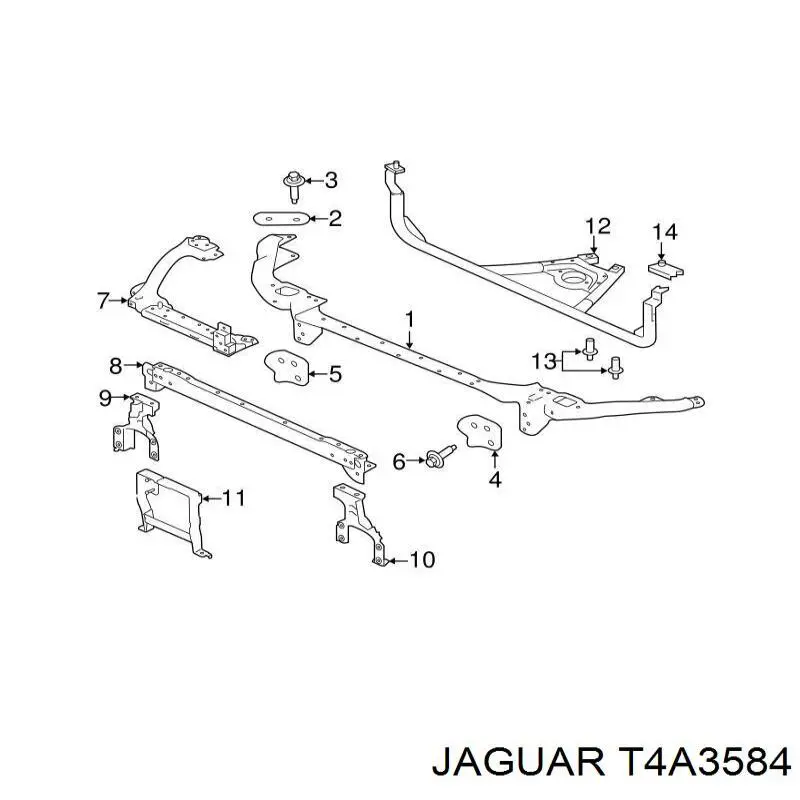 T4A3584 Jaguar 