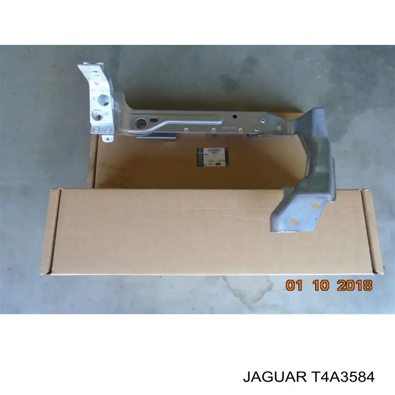  T4A3584 Jaguar