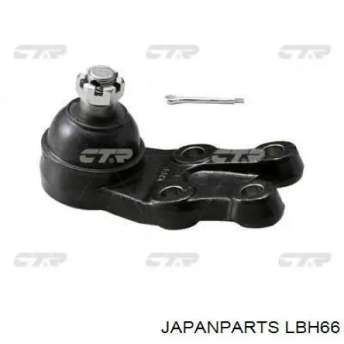 Do koszyka LBH66 Japan Parts Sworzeń wahacza dolny