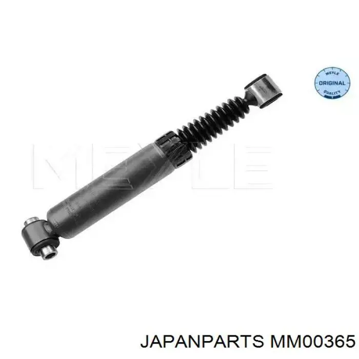 Amortyzator tylny RS313051 Raiso