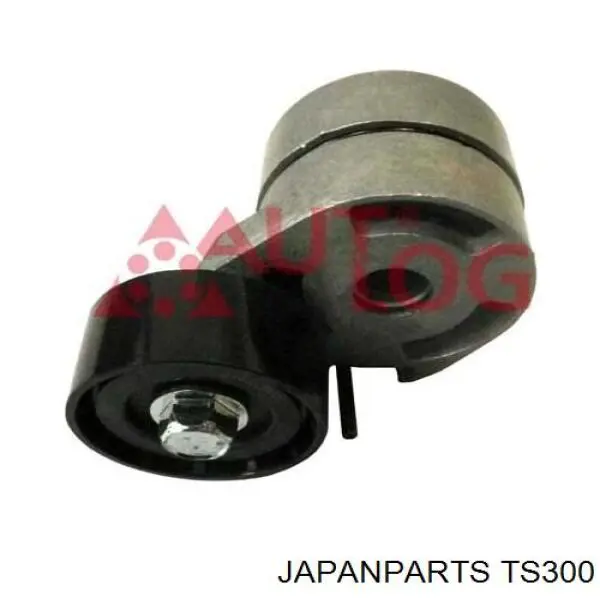 Napinacz paska napędowego Japan Parts TS300 cena, od 16,66 USD