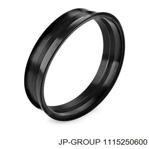 Do koszyka 1115250600 JP Group Uszczelka czujnika poziomu paliwa /pompy paliwa (zbiornik paliwa)