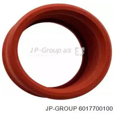 6017700100 JP Group Uszczelka turbiny, wkładka elastyczna