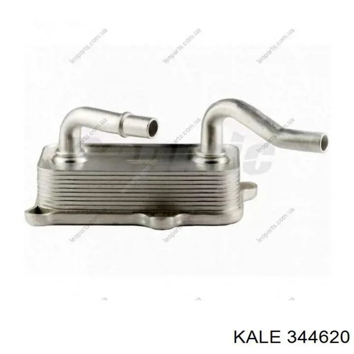 Chłodnica oleju 344620 Kale