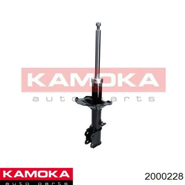 JGM1209T TRW Amortyzator tylny prawy