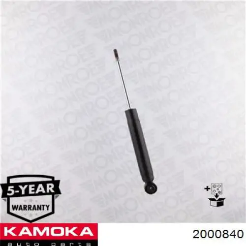 RS316937 Raiso Amortyzator tylny