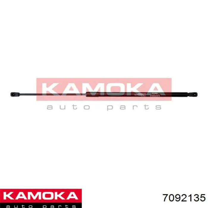 Amortyzator klapy bagażnika (3/5 drzwi-tylnych) Fiat/Alfa/Lancia 1354844080 cena, od 16,87 USD