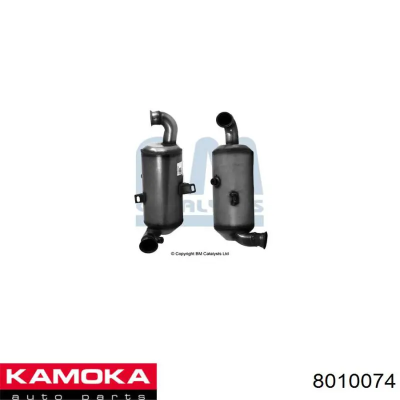 Do koszyka 173846 Peugeot/Citroen Filtr cząstek stałych układu wydechowego