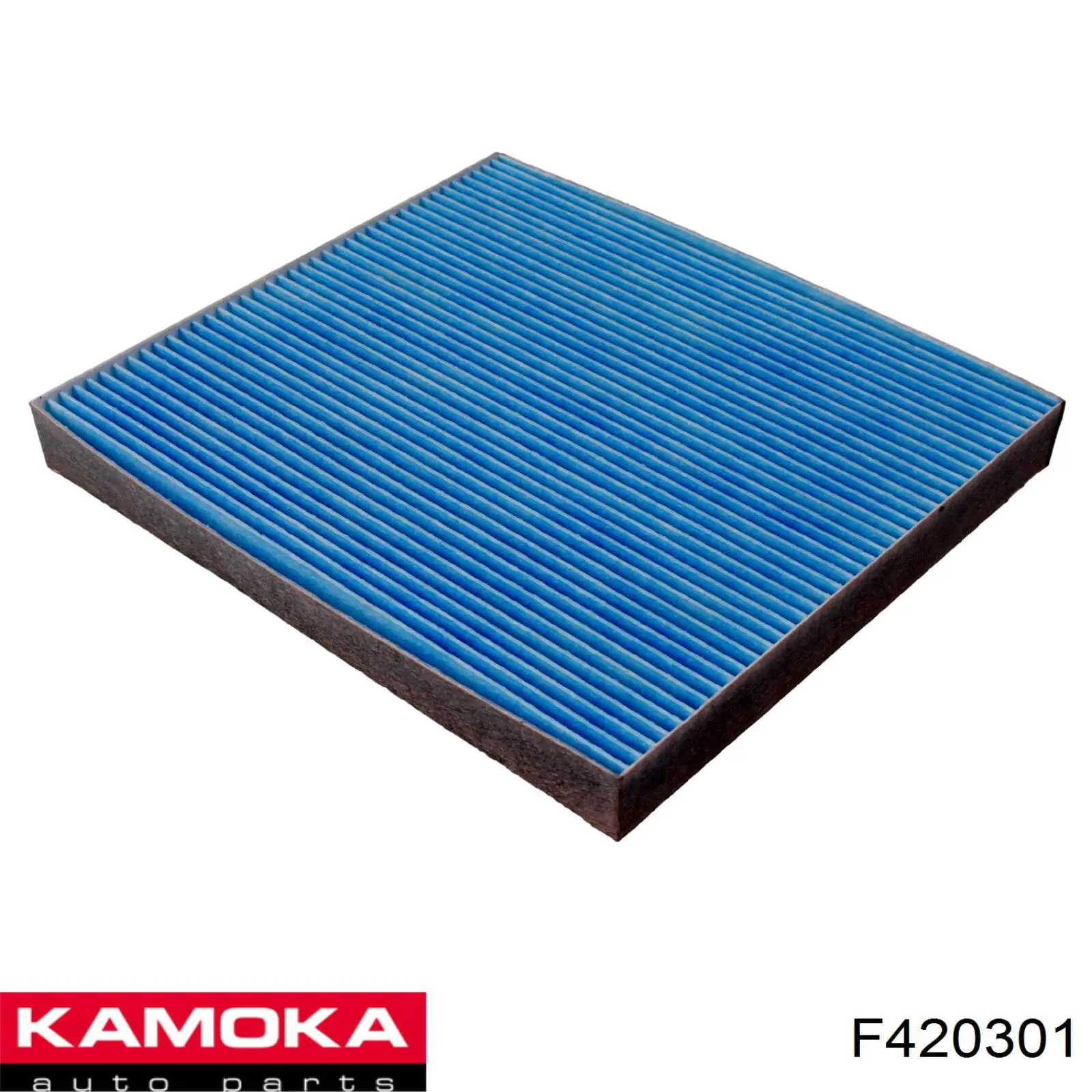 Filtr kabiny 971331R000 Hyundai/Kia