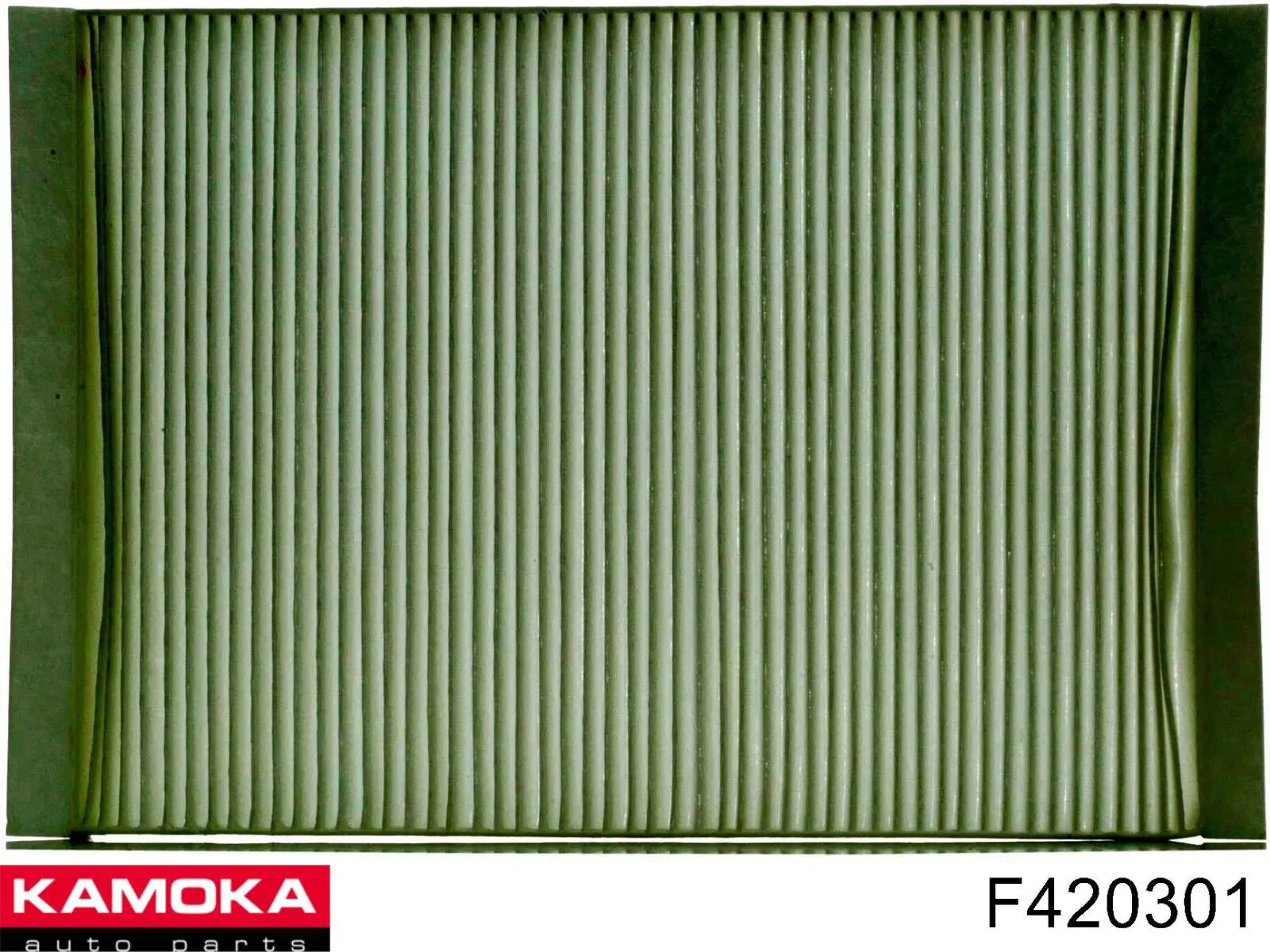 Filtr kabiny 971331R000 Hyundai/Kia
