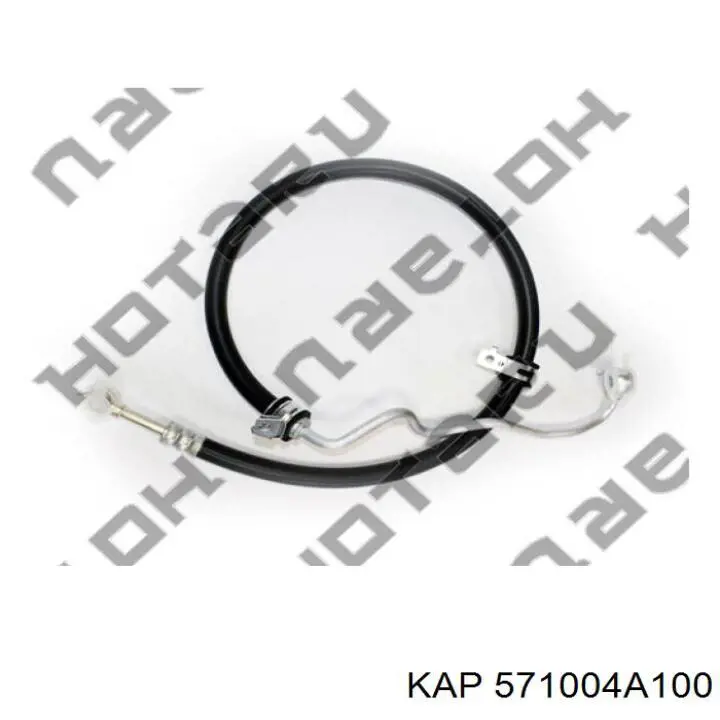 Pompa wspomagania hydraulicznego kierownicy Hyundai H-1 STAREX Starex awangarda (A1) (1997 - 2007) cena, od 59,40 USD