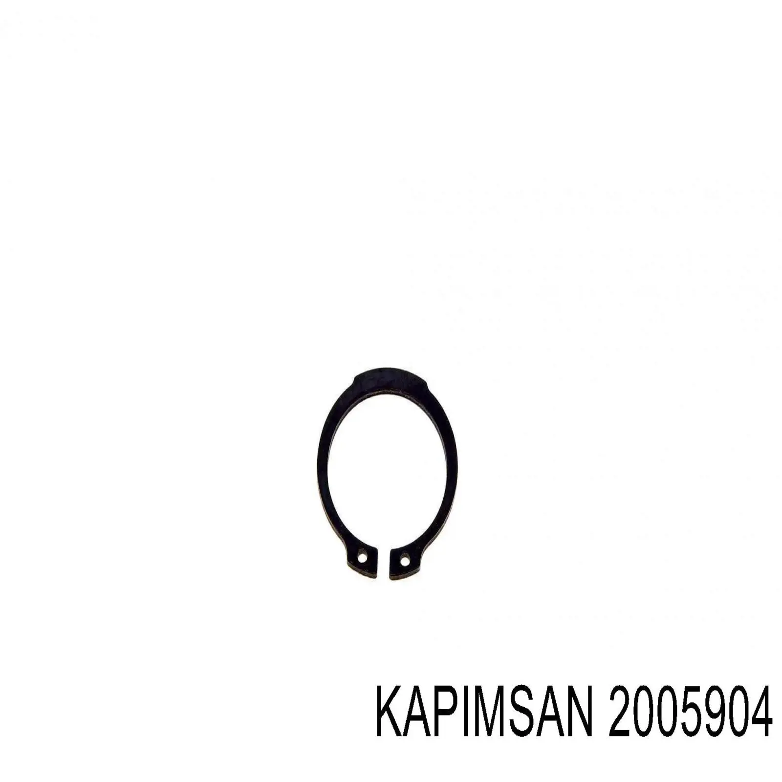 20-05904 Kapimsan sworzeń wahacza dolny