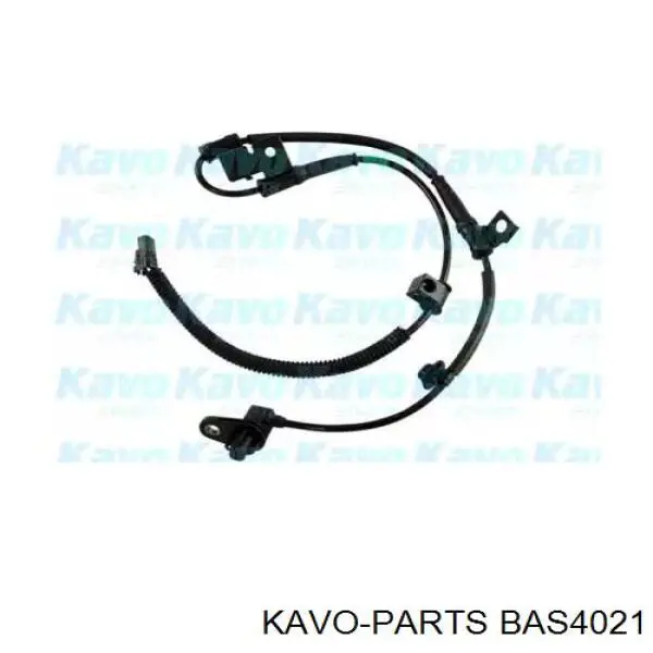 BAS-4021 Kavo Parts czujnik abs przedni lewy