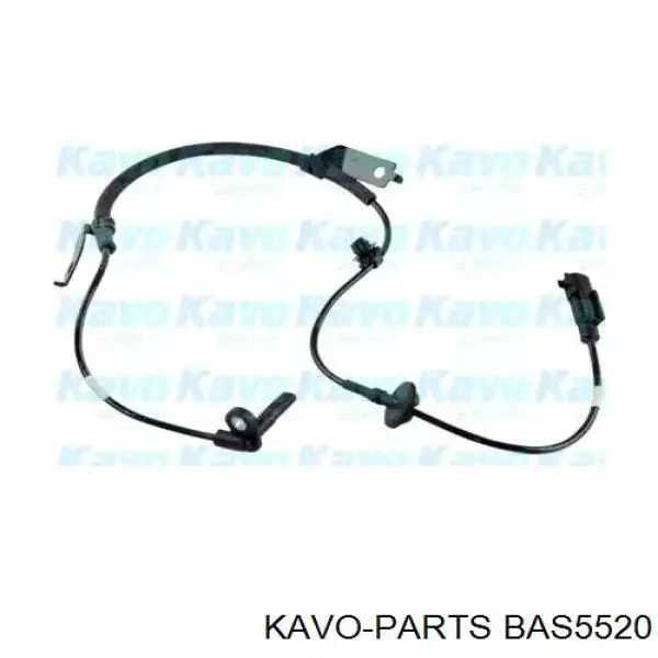 BAS-5520 Kavo Parts czujnik abs przedni lewy