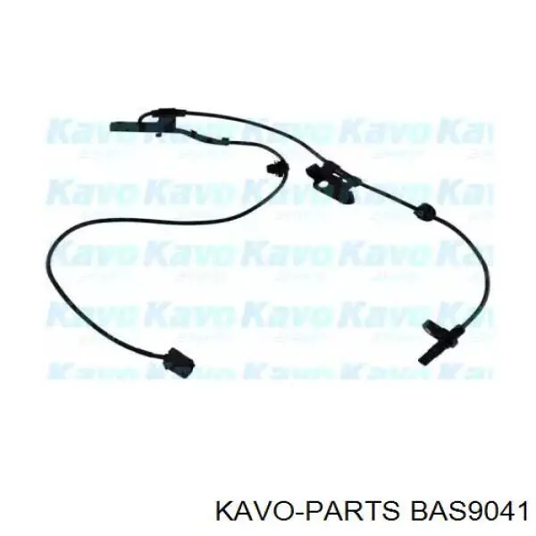 BAS9041 Kavo Parts czujnik abs przedni lewy