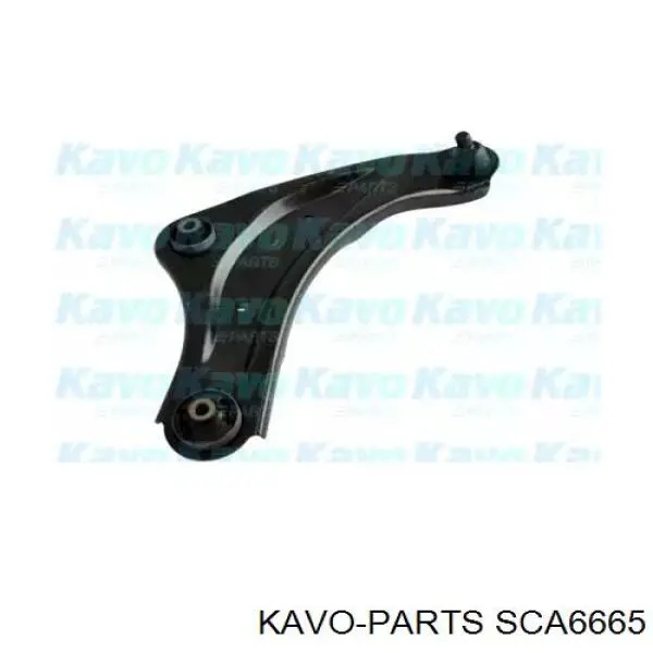 SCA-6665 Kavo Parts wahacz zawieszenia przedniego dolny prawy