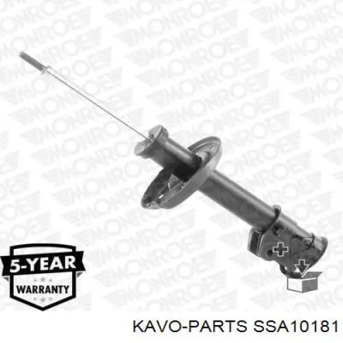 SSA-10181 Kavo Parts amortyzator przedni prawy