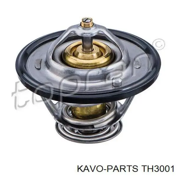 Do koszyka TH3001 Kavo Parts Termostat