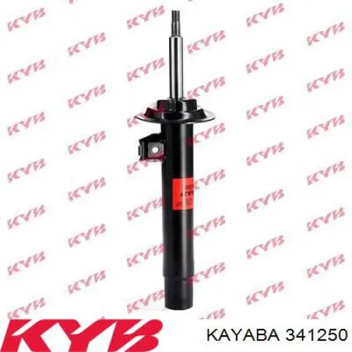 RS313051 Raiso Amortyzator tylny