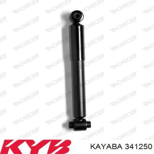 RS313051 Raiso Amortyzator tylny