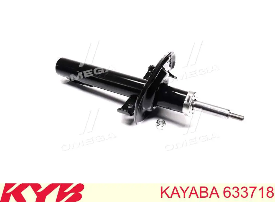 RS310054 Raiso Amortyzator przedni