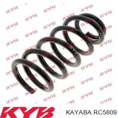 Do koszyka C4H91042H OBK Sprężyna tylna