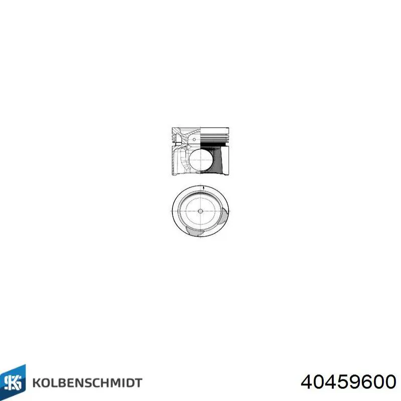 Tłok, komplet do jednego cylindru, STD do DAF 105 XF 