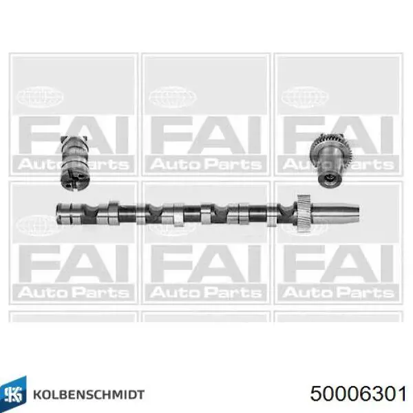 Wał rozrządu silnika ssący, dolotowy lewy Kolbenschmidt 50006301 cena, od 130,18 USD