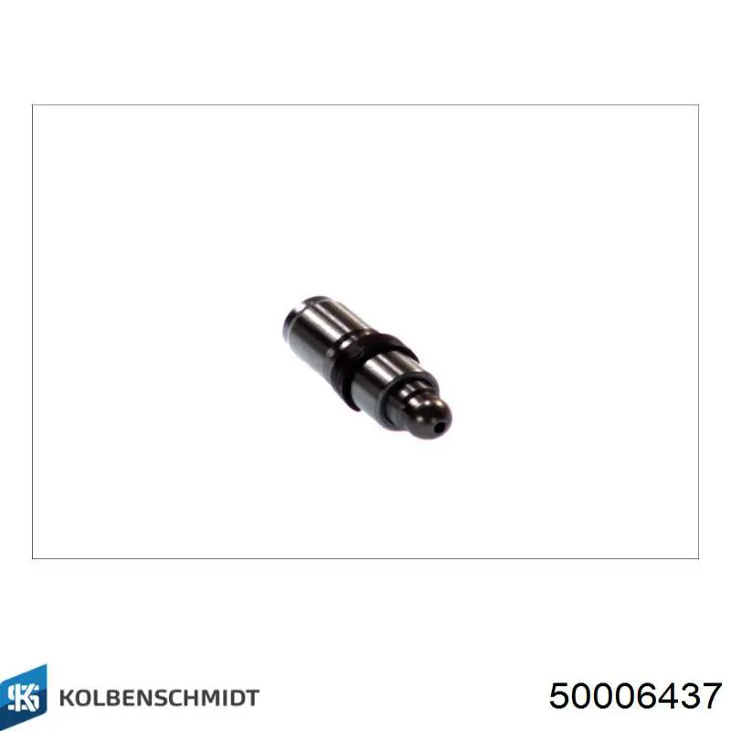 Do koszyka 50006437 Kolbenschmidt Kompensator hydrauliczny (popychacz hydrauliczny), popychacz zaworu