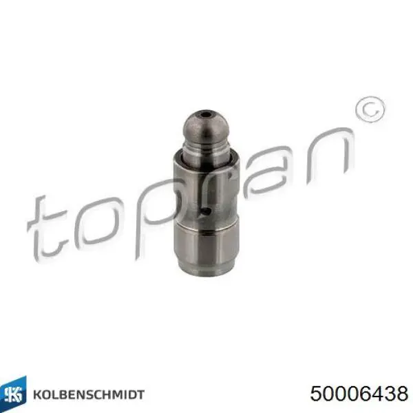 Do koszyka 50006438 Kolbenschmidt Kompensator hydrauliczny (popychacz hydrauliczny), popychacz zaworu