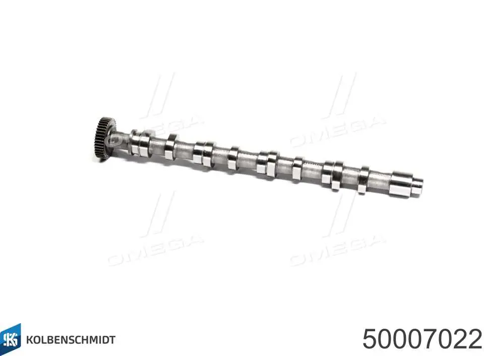50007022 Kolbenschmidt Wał rozrządu silnika wylotowy, wydechowy