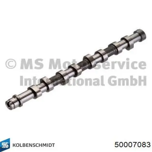Do koszyka 50007083 Kolbenschmidt Wał rozrządu silnika
