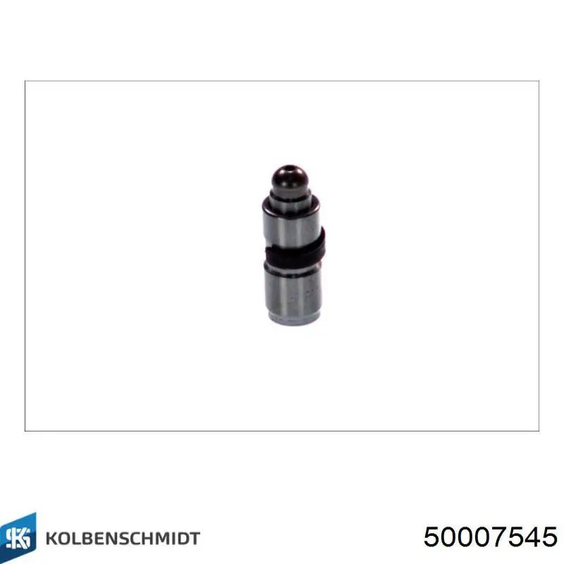 Do koszyka 50007545 Kolbenschmidt Kompensator hydrauliczny (popychacz hydrauliczny), popychacz zaworu