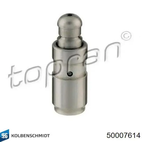 Kompensator hydrauliczny (popychacz hydrauliczny), popychacz zaworu Kolbenschmidt 50007614 cena, od 10,50 USD
