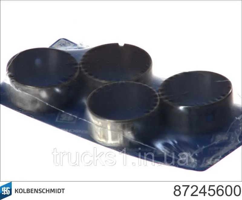 885405042525 Tata Panewka wałka rozrządu, standardowa, zestaw
