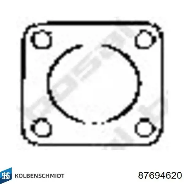  Kolbenschmidt 87694620