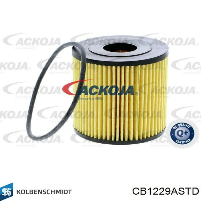 CB1229ASTD Kolbenschmidt Panewki korbowodowe wału korbowego, zestaw, standardowe (STD)