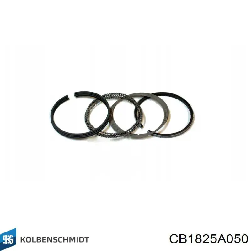 Do koszyka Panewki korbowodowe wału korbowego, zestaw, 2. naprawa (+0,50) Mitsubishi Colt IV CAA