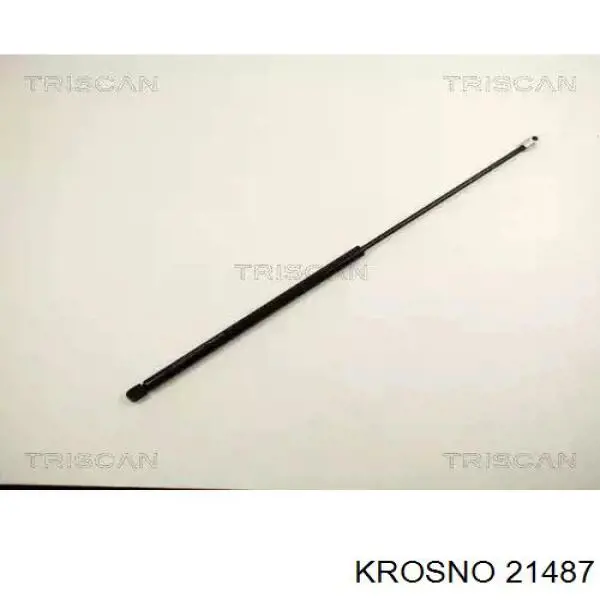  Krosno 21487