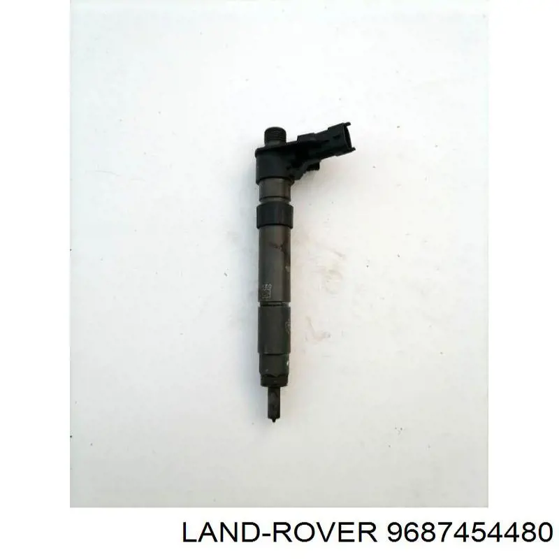 Wtryskiwacz paliwa Land Rover LR056366 cena, od 219,63 USD