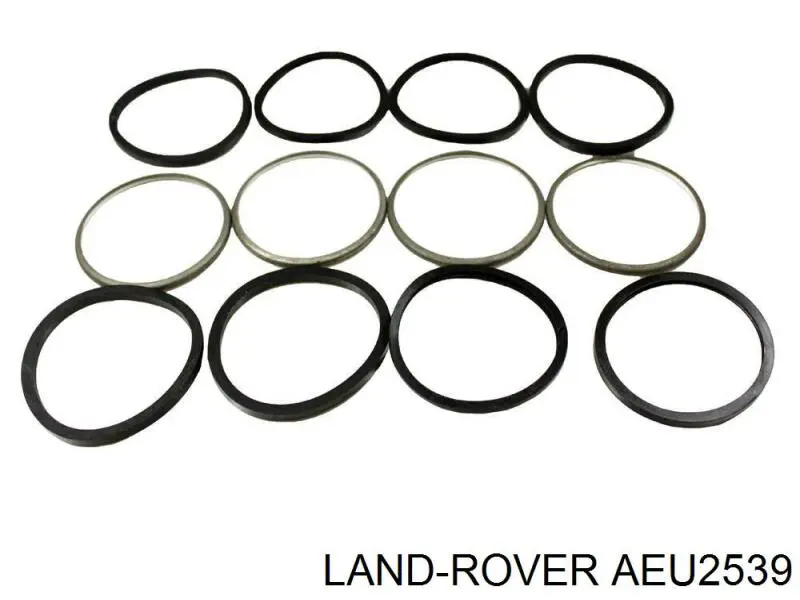 Do koszyka AEU2539 Land Rover Zestaw naprawczy zacisku hamulcowego przedniego