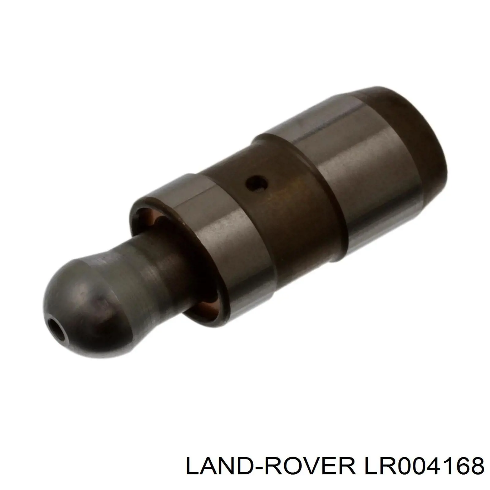 Do koszyka 6G9Q6500AA Ford Kompensator hydrauliczny (popychacz hydrauliczny), popychacz zaworu